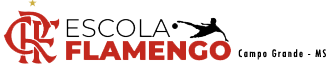Escola Flamengo de Futebol | Campo Grande – MS